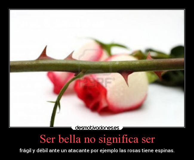 Ser bella no significa ser - frágil y débil ante un atacante por ejemplo las rosas tiene espinas.