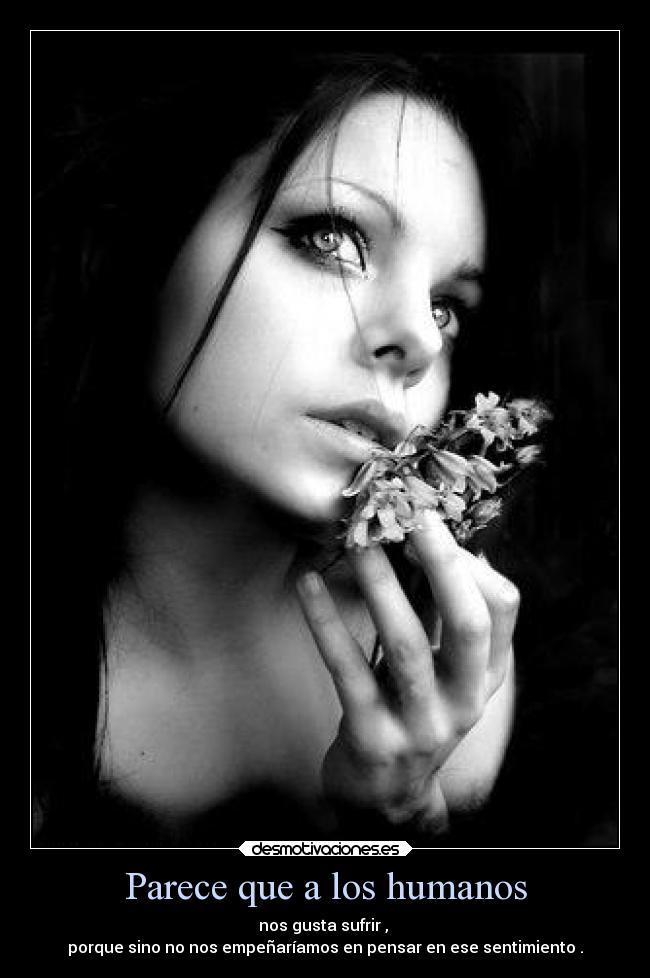 Parece que a los humanos -