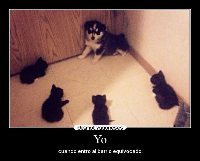 Yo - cuando entro al barrio equivocado.