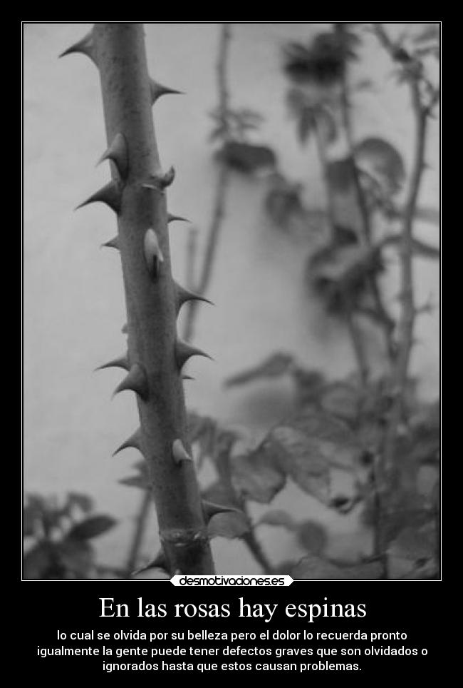 En las rosas hay espinas - 