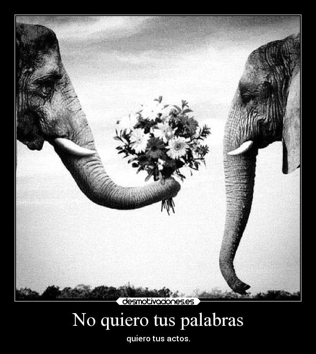 No quiero tus palabras - quiero tus actos.