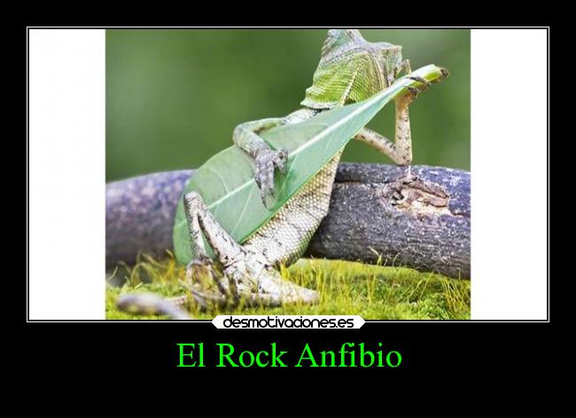 carteles rock internet musica rock animales desmotivaciones