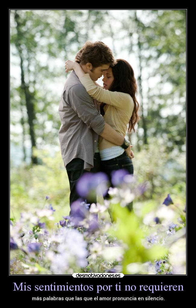 Mis sentimientos por ti no requieren - más palabras que las que el amor pronuncia en silencio.