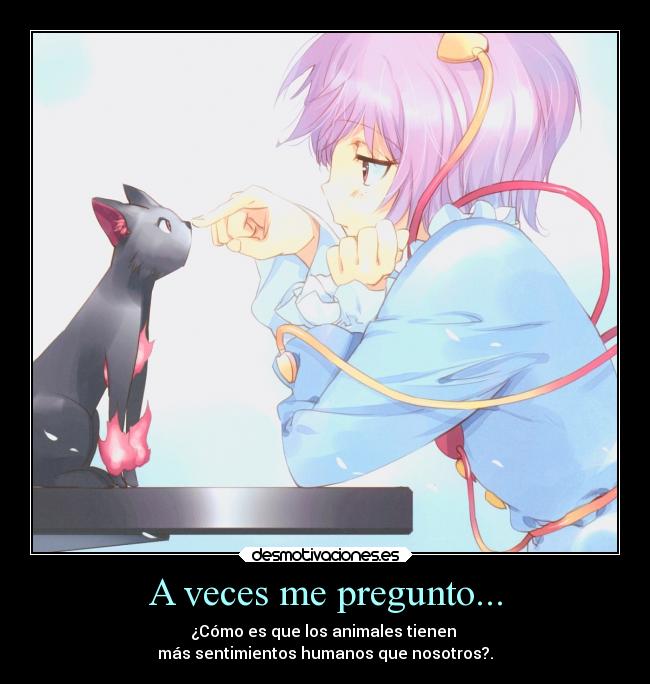 A veces me pregunto... - ¿Cómo es que los animales tienen 
más sentimientos humanos que nosotros?.