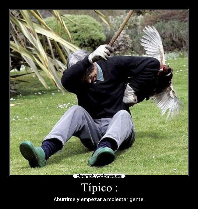 Típico : - Aburrirse y empezar a molestar gente.