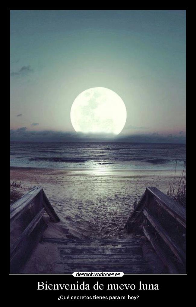 Bienvenida de nuevo luna - 
