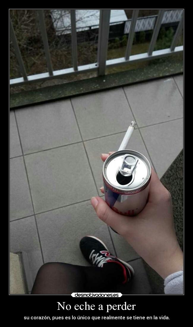 No eche a perder - su corazón, pues es lo único que realmente se tiene en la vida.