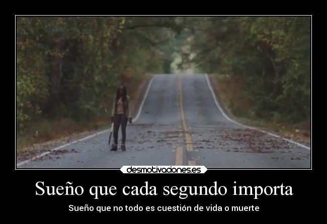 carteles sentimientos the walking dead michonne desmotivaciones