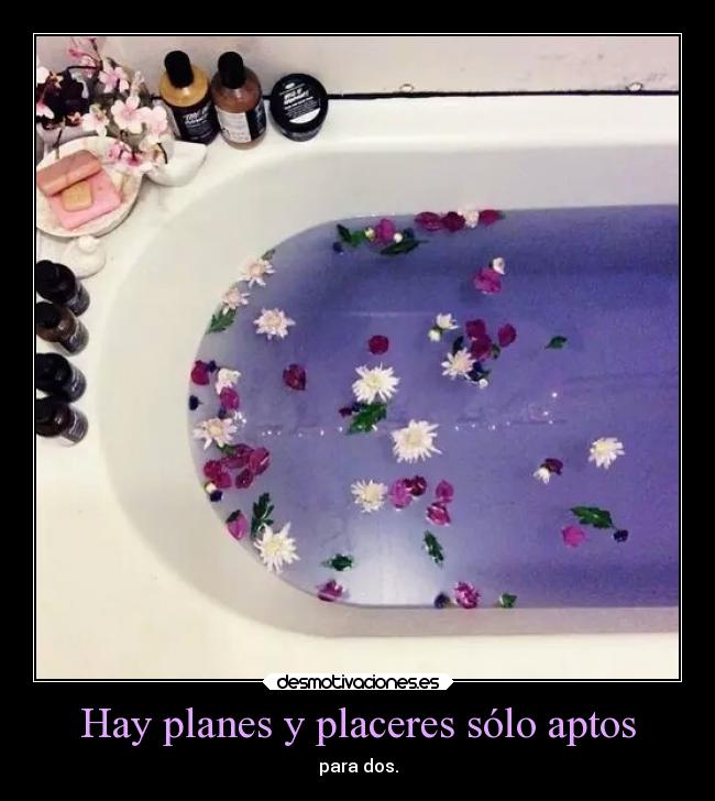 Hay planes y placeres sólo aptos - 