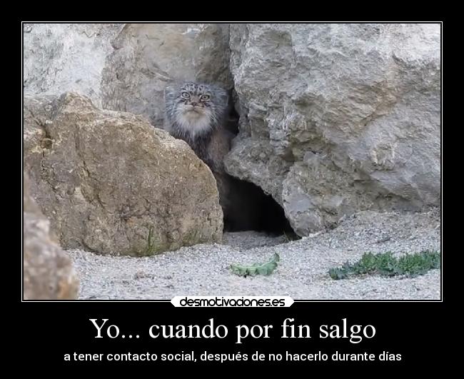 Yo... cuando por fin salgo - 