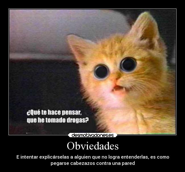 Obviedades - E intentar explicárselas a alguien que no logra entenderlas, es como
pegarse cabezazos contra una pared