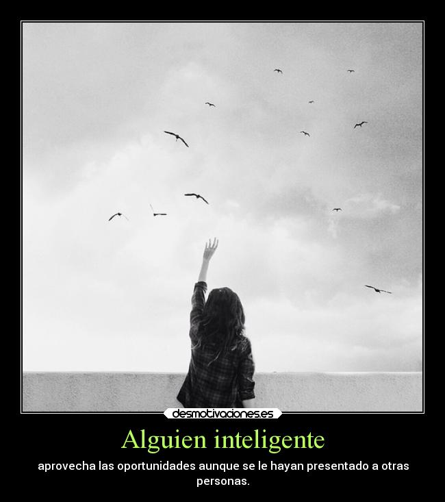 carteles sociedad inteligencia hijo puta inteligente aprovechado oportunidades desmotivaciones