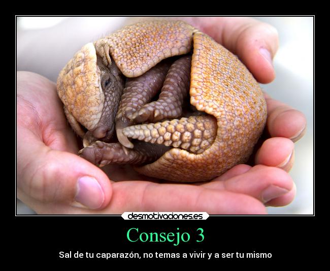 Consejo 3 - Sal de tu caparazón, no temas a vivir y a ser tu mismo