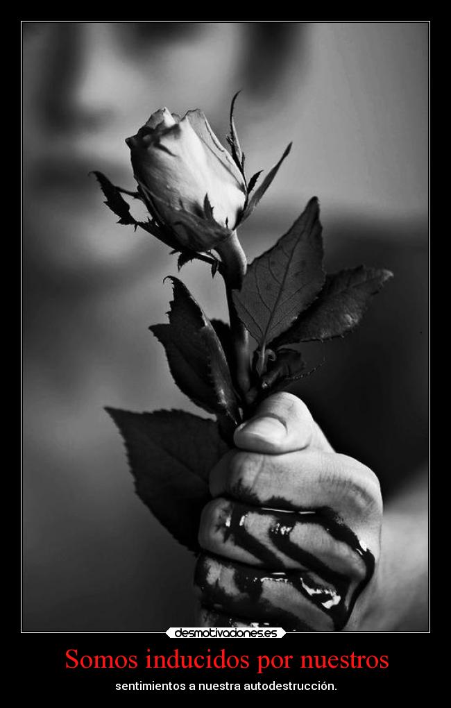 Somos inducidos por nuestros - sentimientos a nuestra autodestrucción.