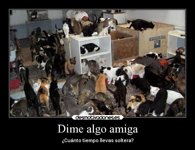 Dime algo amiga - 