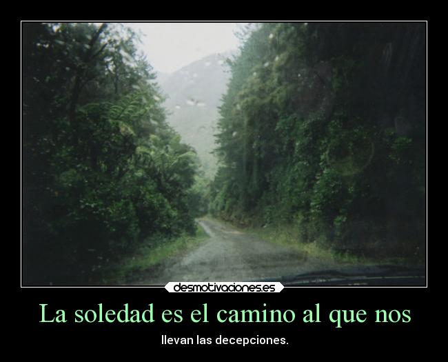 La soledad es el camino al que nos - llevan las decepciones.