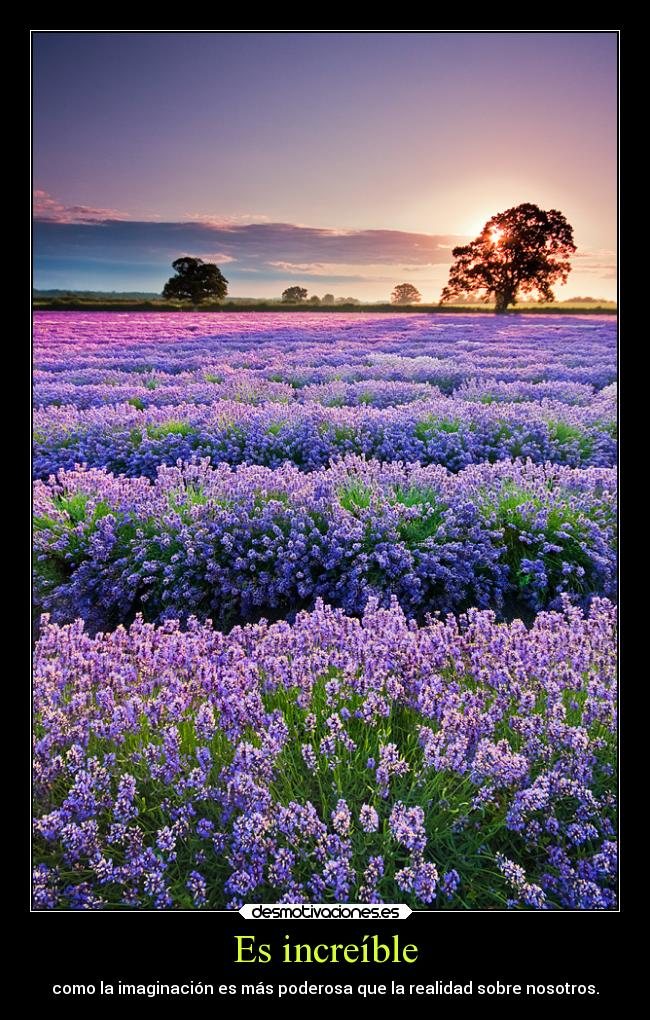 Es increíble - 
