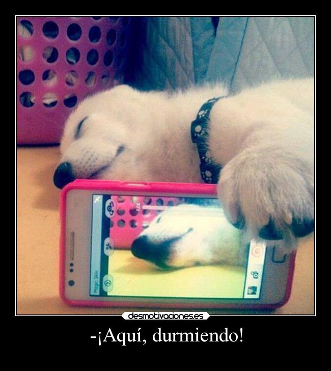 -¡Aquí, durmiendo! -