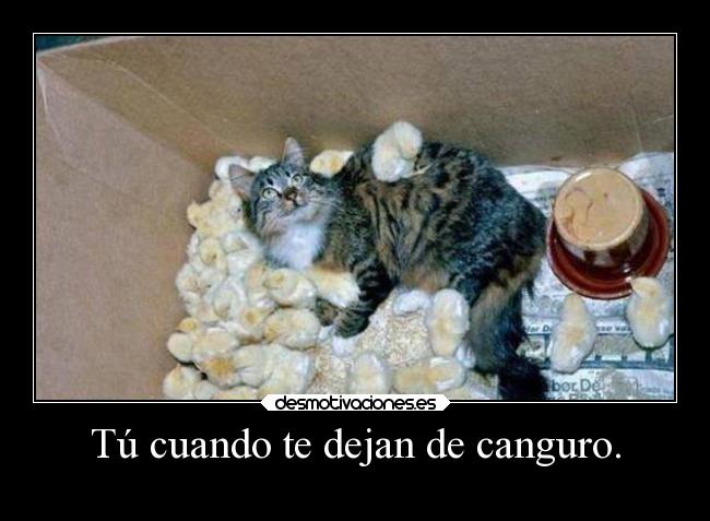 Tú cuando te dejan de canguro. - 