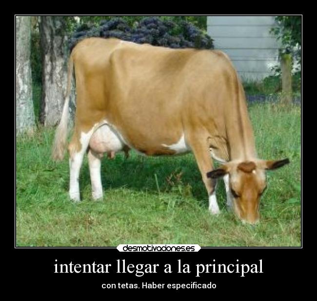 intentar llegar a la principal -