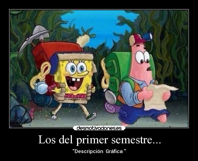 Los del primer semestre... - Descripción Gráfica