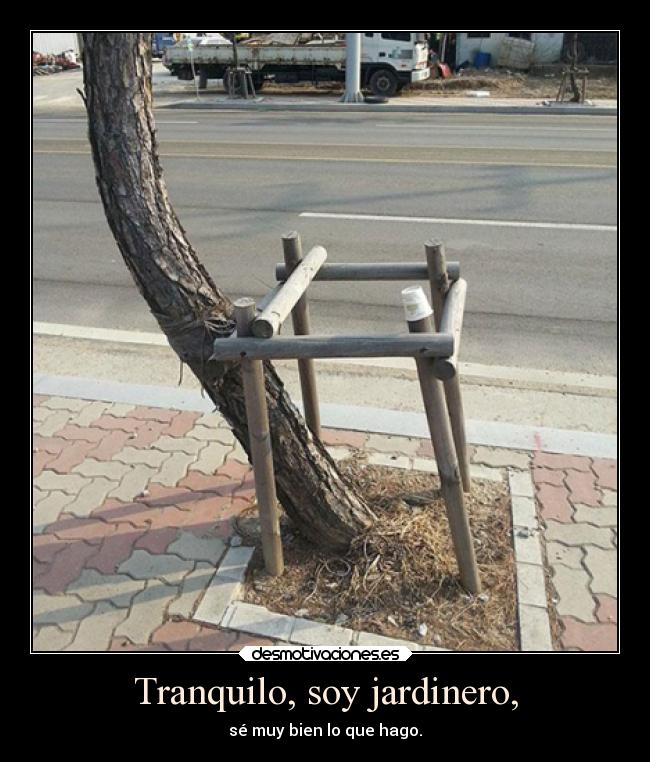 Tranquilo, soy jardinero, - 