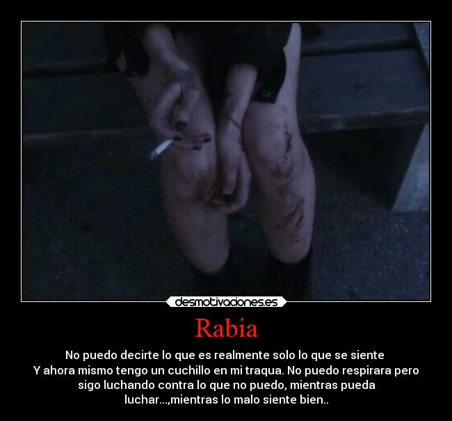 Rabia - No puedo decirte lo que es realmente solo lo que se siente 
Y ahora mismo tengo un cuchillo en mi traqua. No puedo respirara pero
sigo luchando contra lo que no puedo, mientras pueda
luchar...,mientras lo malo siente bien..