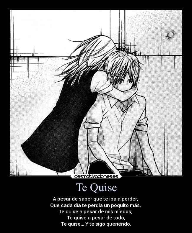 Te Quise - A pesar de saber que te iba a perder,
Que cada día te perdía un poquito más,
Te quise a pesar de mis miedos,
Te quise a pesar de todo,
Te quise… Y te sigo queriendo.