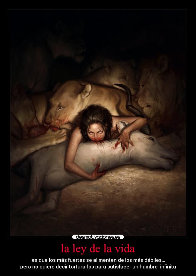 la ley de la vida - 