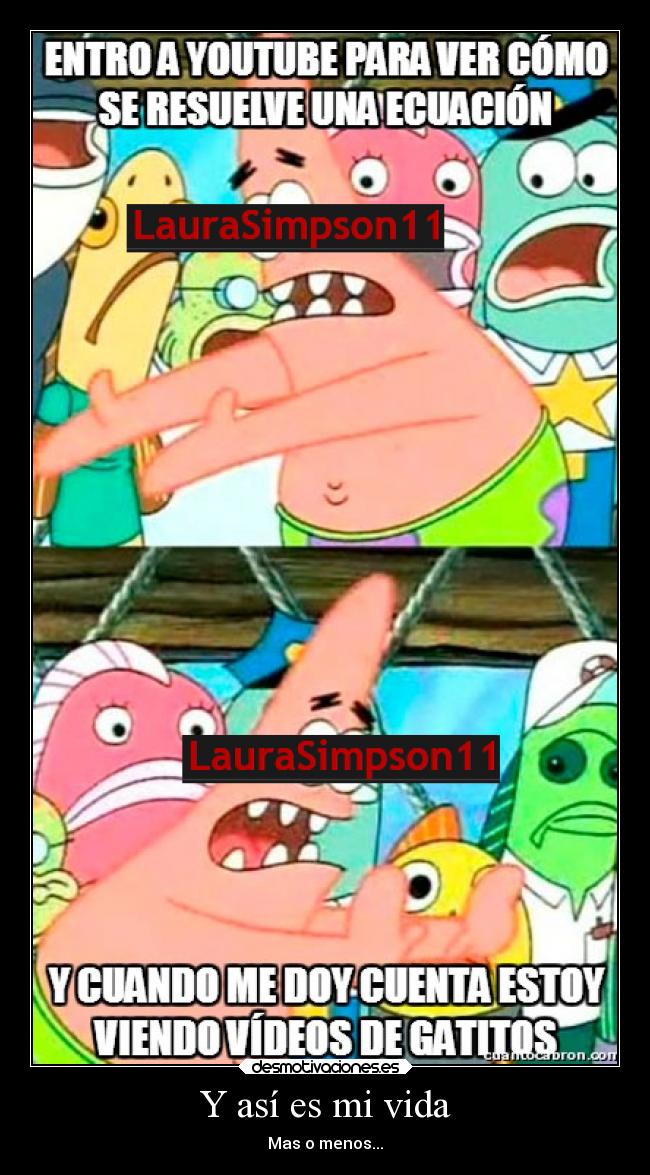 carteles vida animales gatos memes laurasimpson11 patricio bob esponja matematicas gatitos desmotivaciones