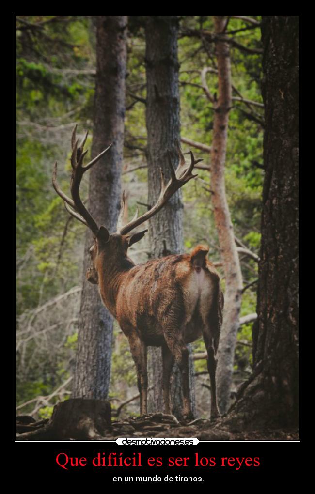 Que difiícil es ser los reyes - en un mundo de tiranos.