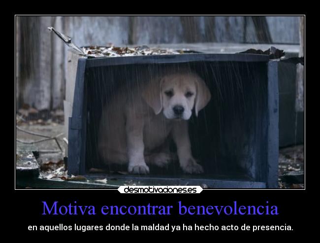 carteles vida benevolencia maldad lugares perrito desmotivaciones