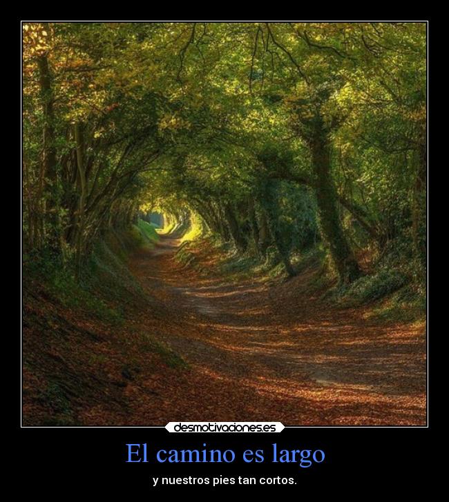 El camino es largo - y nuestros pies tan cortos.