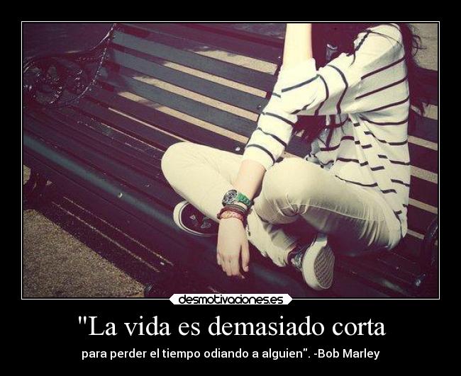 carteles vida caracter vida bobmarley demasiado corta perder tiempo odiando alguien desmotivaciones