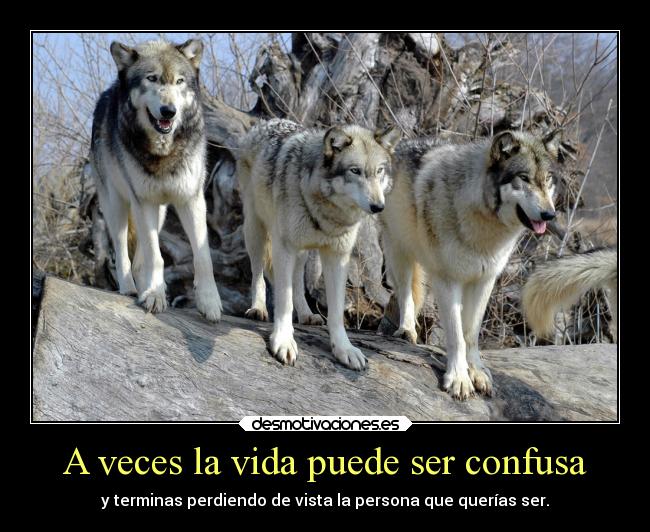 A veces la vida puede ser confusa - 