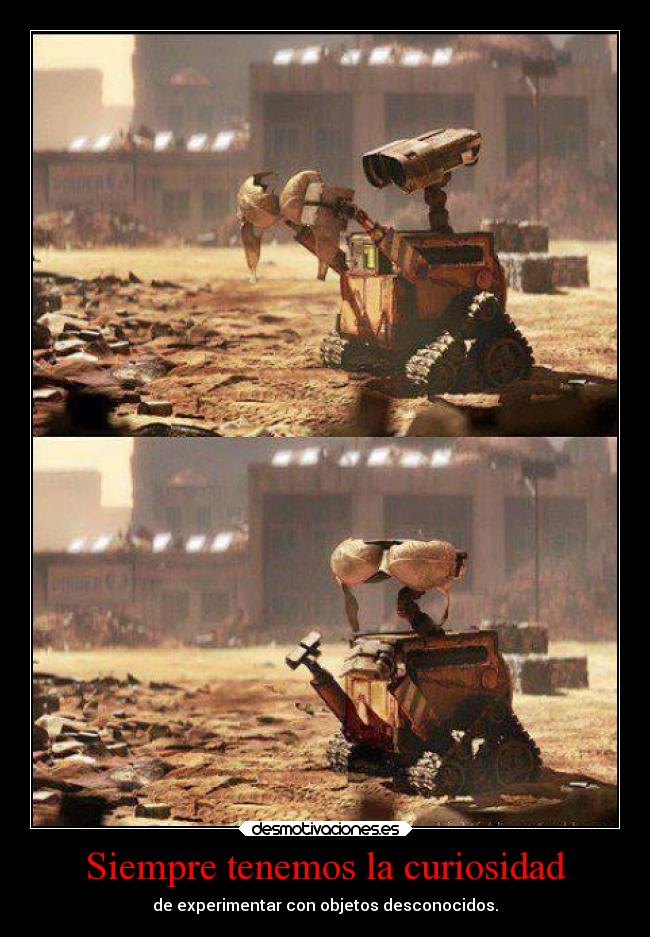 Siempre tenemos la curiosidad - 