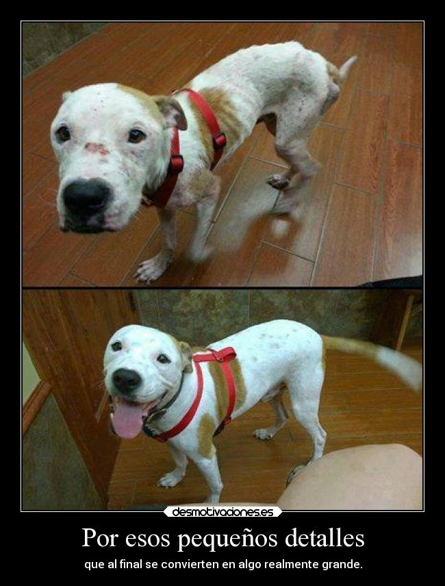 Por esos pequeños detalles - 