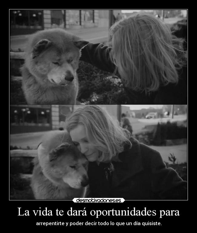 La vida te dará oportunidades para -