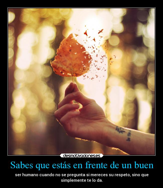 Sabes que estás en frente de un buen -