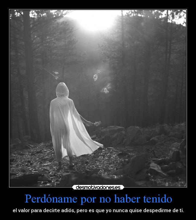 carteles vida despedidas princesa noteolvido mels siempre tuya miangel teextrano perdoname losiento dep desmotivaciones