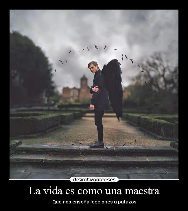 La vida es como una maestra - 