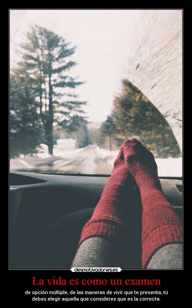 carteles vida escuela vida examen desmotivaciones