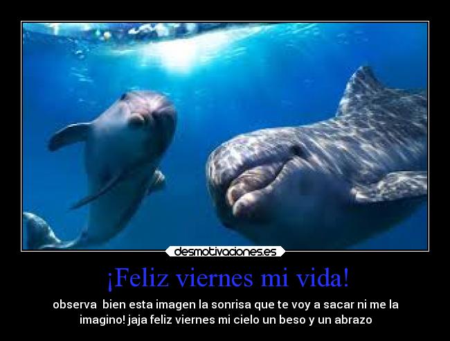 ¡Feliz viernes mi vida! -