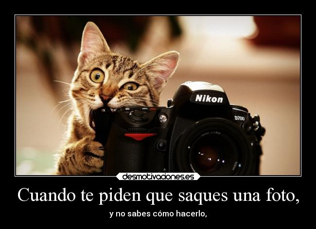 Cuando te piden que saques una foto, - 