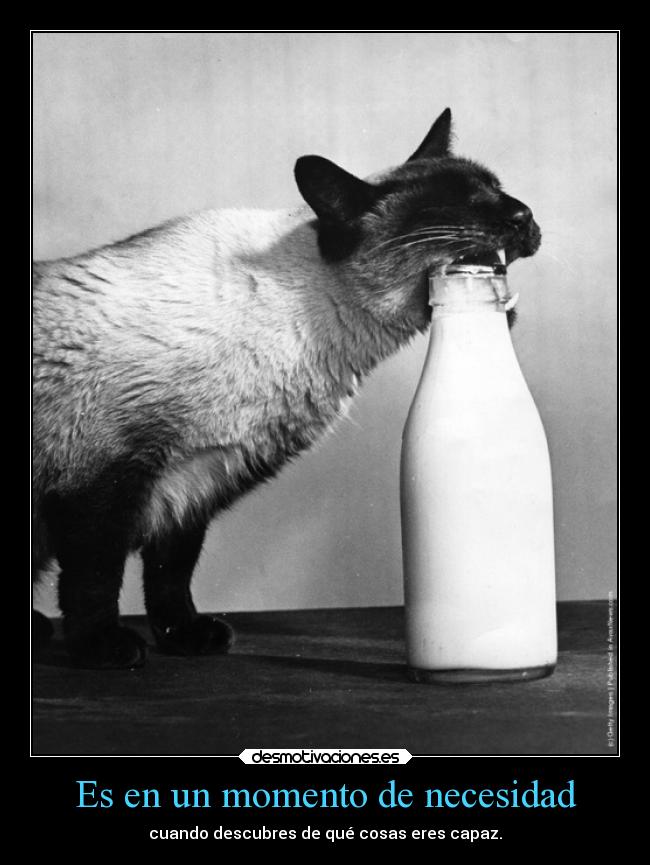 Es en un momento de necesidad -