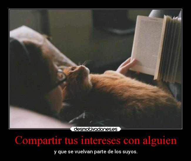 Compartir tus intereses con alguien - 