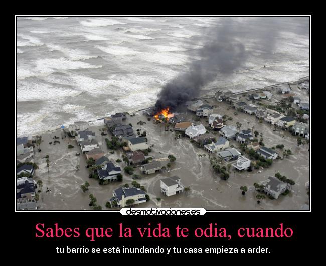 Sabes que la vida te odia, cuando -