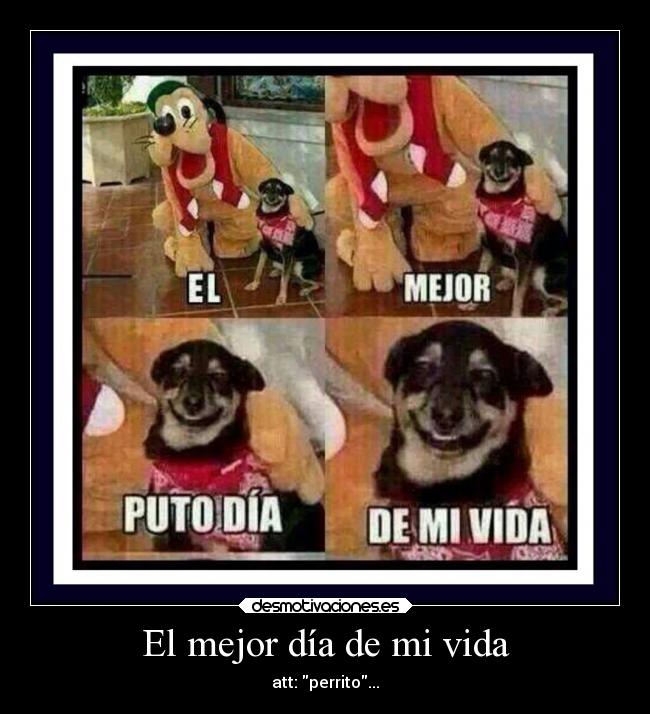El mejor día de mi vida -