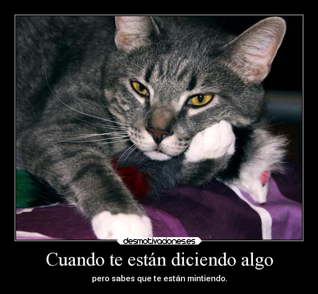 carteles vida humorjv johanvides loganlermanidolo plumaaladeriva jvxd mydoglimber gato sinideasxd desmotivaciones