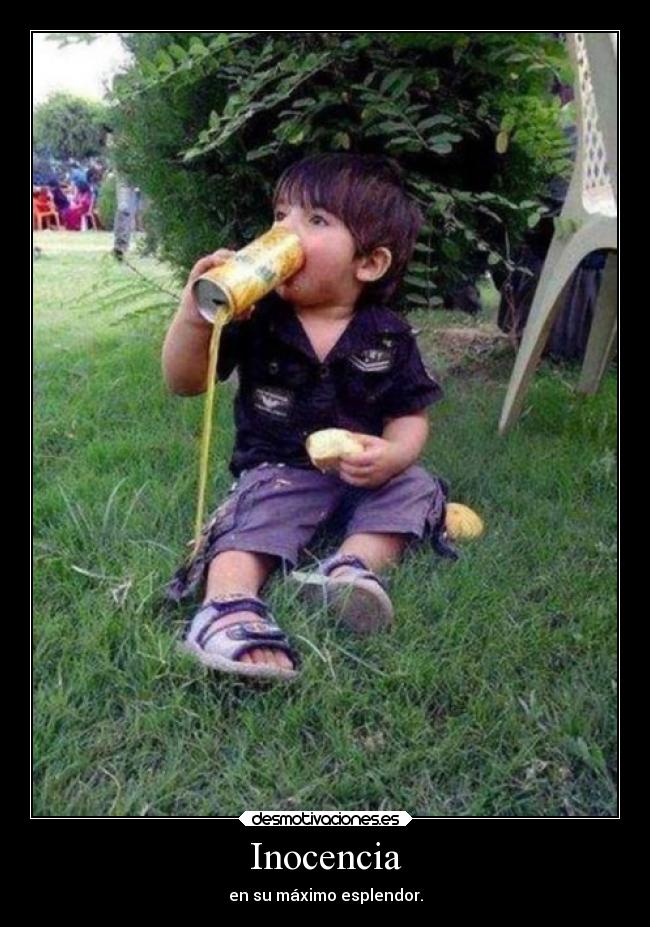 Inocencia - en su máximo esplendor.